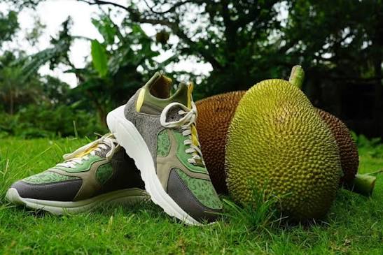Kamthala sneakers standing in grass beside ripe jackfruit.